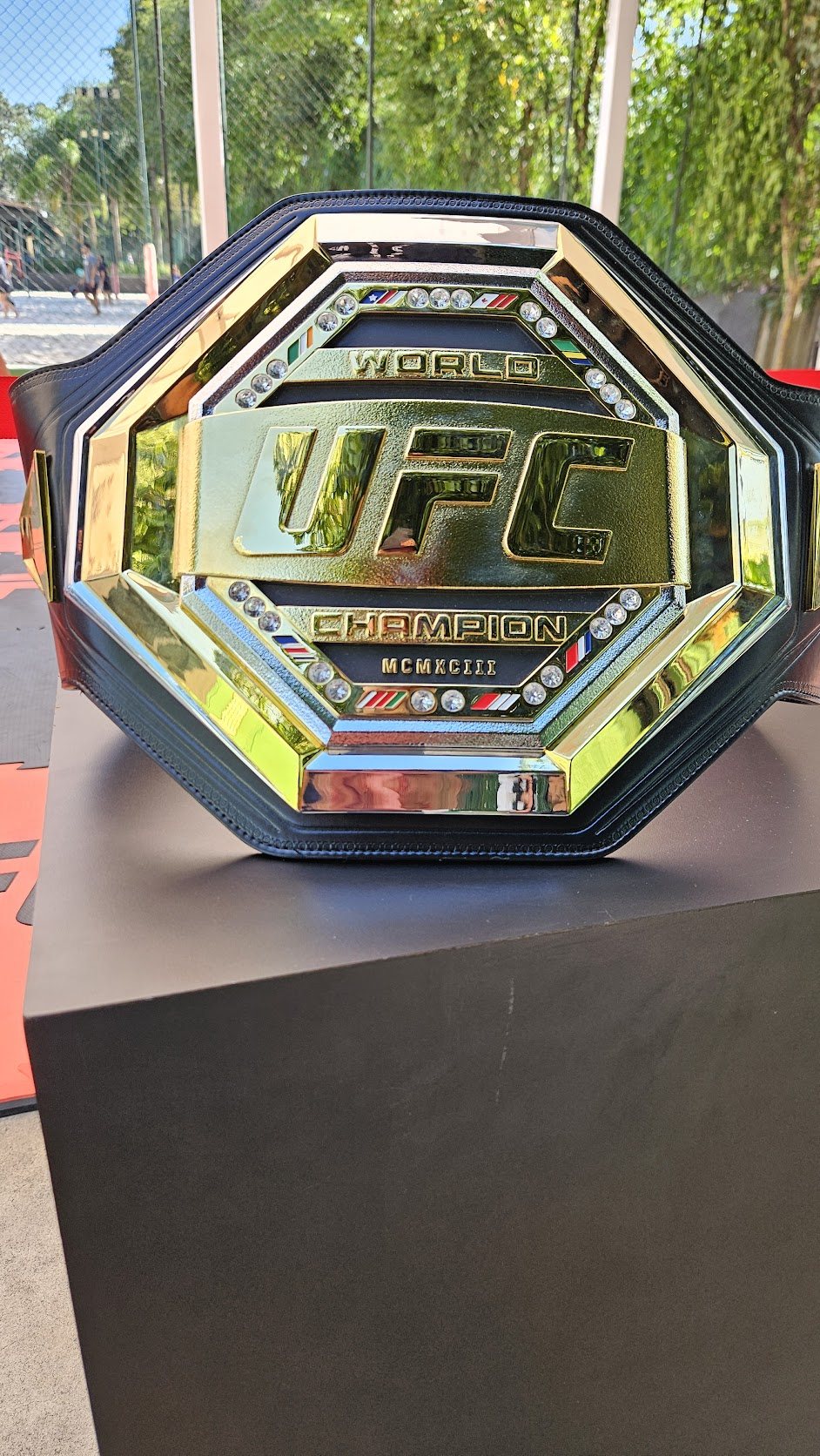 Cinturão UFC